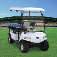 Express 2 with Stretcher