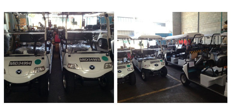 Green Car in Singapore